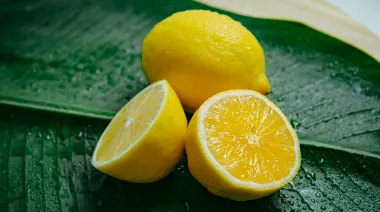 garnishing-instructions-image